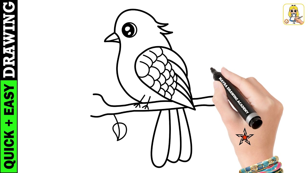 Very Beautiful Bird Drawing Let s Learn How To Draw A Bird Easy YouTube Very Beautiful Bird Drawing Let s Learn How To Draw A Bird Easy YouTube