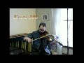 Krutz series 300 violin  kc strings