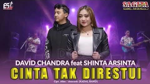 Shinta Arsinta & David Chandra - Cinta Tak Direstui (Audio)