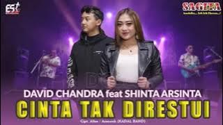 Shinta Arsinta & David Chandra - Cinta Tak Direstui