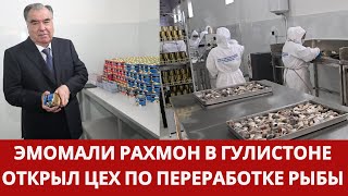 СОГД:Эмомали Рахмон в Гулистоне открыл цех по переработке рыбы