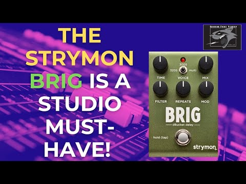 Musicians, Your Studio Needs the Strymon Brig: Here's Why