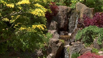 SẮC MÀU THIÊN NHIÊN