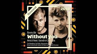 Avicii - Without You (ft. Sandro Cavazza) (Acoustic Version)