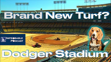 Dodger Stadium Renovation: BRAND NEW TURF INSTALLED! Is Toby the TikTok Dodger Dog gonna like it? 🐶🤔
