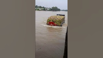 #shorts ghe dừa chỡ khá nhiều vượt cống 7 cữa