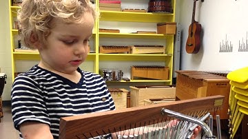 Colourstrings Victoria