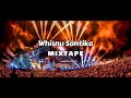 Whisnu santika Adnan veron & All friends !! NEW YEAR PARTY DECEMBER 2023 Mixtape