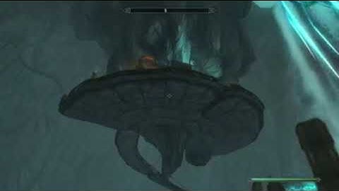 Sleeping Tree Sanctuary