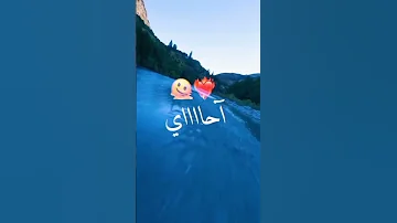 شيخ ماميدو كي داير تبرادي جاشا معندي باي باي ولدي 
