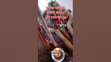 #कार्तिक महीने के आखिरी सोमवार बेल वृक्ष उपाय 11 नवम्बर को #pandit_pradeep_ji_mishra #subscribe Like