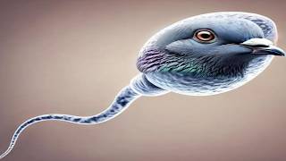 Memes That Got Standing Ovation