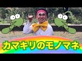 おはよう!カマキリのモノマネをするよ!