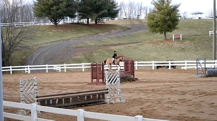 Catherine Ginn and Almost Crimson in Equitation Me...