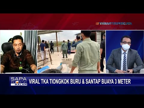 Video: Menangkap Tenag