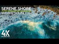 8 HRS Pacific Ocean White Noise - Calming Sound of Crashing Waves for Deep Relaxation (4K UHD)