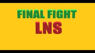 FINAL FIGHT LNS