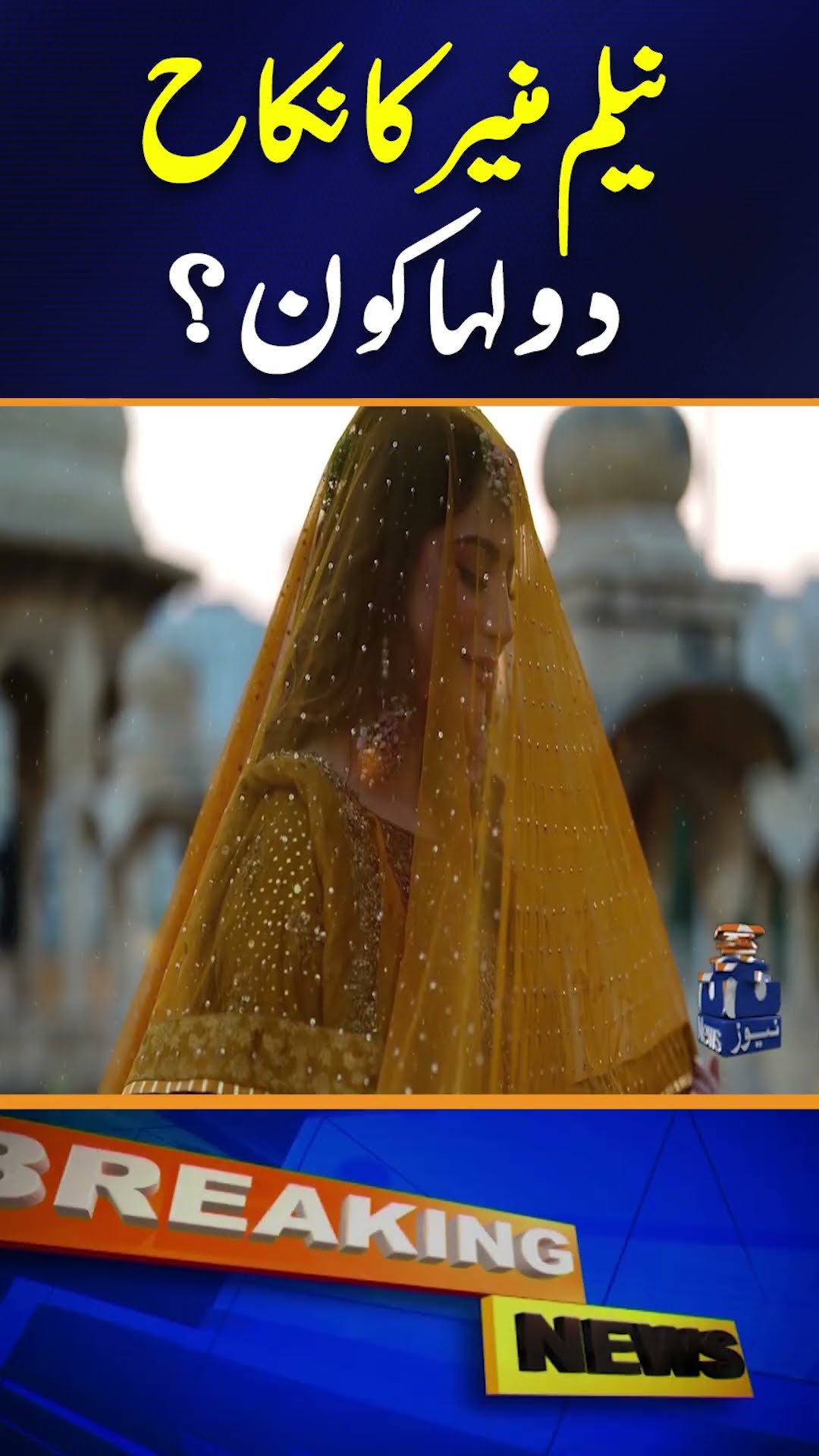 Neelam Muneer reveals husband as she shares romantic Nikah pictures #shorts #neelummuneer