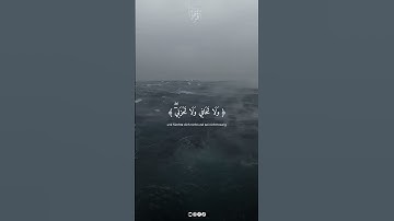 #ياسر_الدوسري #سورة_القصص 🩵