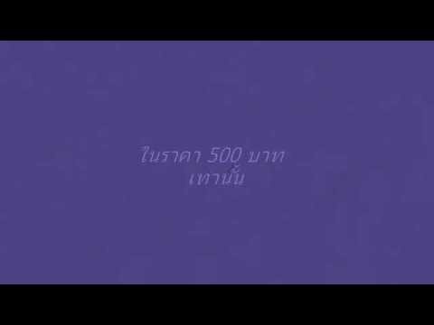 ประกาศขาย สุนัข พุดเดิ้ล ผสม ชิสุ