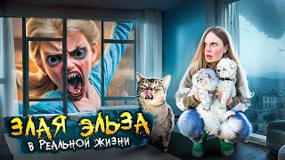 ЗЛАЯ ЭЛЬЗА В РЕАЛЬНОЙ ЖИЗНИ | ЗАСТРЯЛИ В ПОДЪЕЗДЕ НА 24 ЧАСА С КОТОМ И СОБАКОЙ