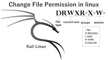 How to change file permission in linux | Kali Linux | File permission