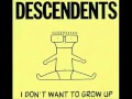 Descendents - Good Good Things (Lyrics)