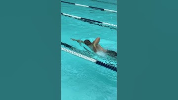Thumbnail of Calm and relaxed freestyle swimming #swimming