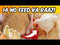 14 Number Feed Kya Hai? Uses, Benefits & Complete Guide 2026