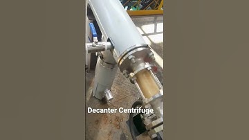 Food waste oil extraction by ZK decanter centrifuge #separation #project #decanter #manufacturer