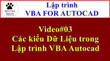 🐈 CadExTools_VBA cho Autocad | Video#03_Các kiểu dữ liệu trong Lập trình VBA Autocad