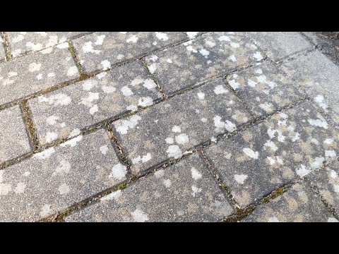 Video: Beste Möglichkeit, Betonplatten auf einer Terrasse zu entfernen