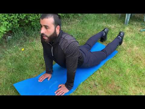 دملا درد ورزشی حرکتونه Exercises for back pain