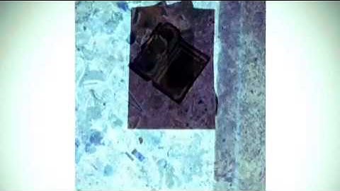 McTaggart A series B series