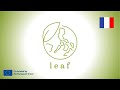 Leaf services learning approach english subtitles
