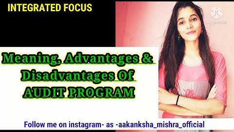 Audit programme | meaning advantages and disadvantage of audit programme | Auditing |