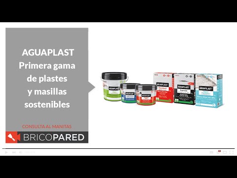 Aguaplast Reparador Madera - Bricopared