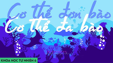 Cơ thể đơn bào và cơ thể đa bào | KHTN 6