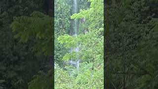 Location: Waterfall 📍 Reality: Dhoka Falls 💀🤣