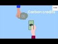 Carbon Credit Explained -  What is Carbon Credit ?