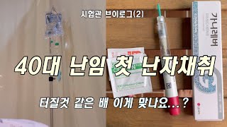 시험관 Vlog ep.2 | 첫 난자채취 했는데...배 이게 맞는거죠?💉 | 해외거주자가 한국에서 시험관을 하는 이유 | 난임병원 비용 전부공개💵 | 40대부부 시험관