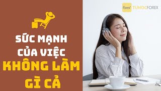 Trader | Khám phá sức mạnh của sự chờ đợi trong giao dịch Forex