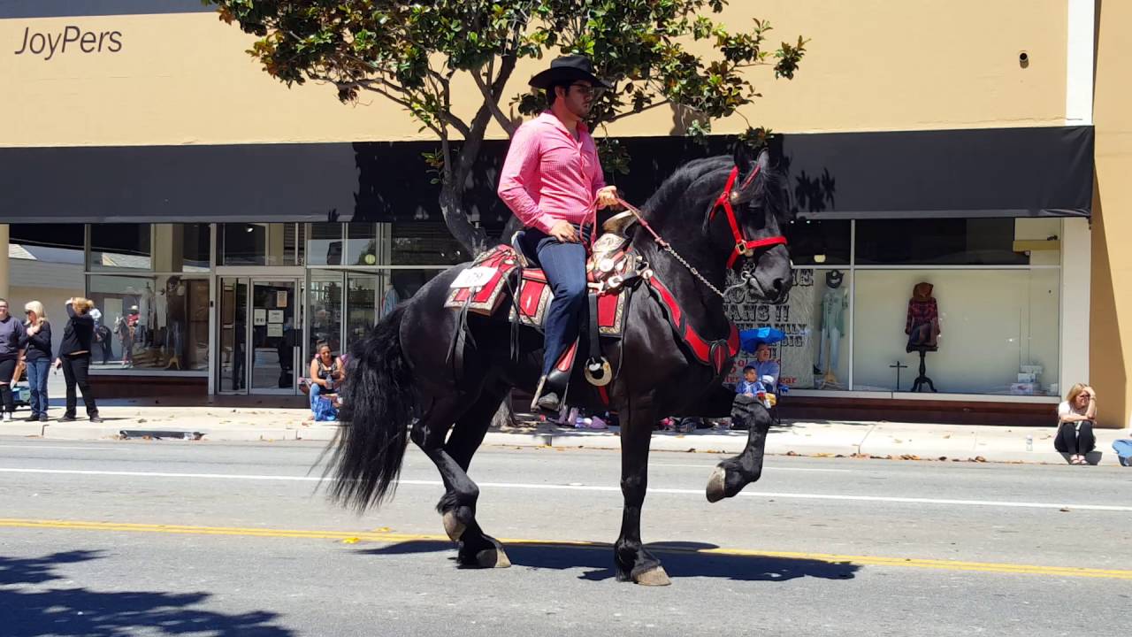 Salinas California Horse Parade(5) YouTube