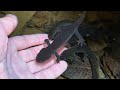 야생 도롱뇽에게 손을 내밀었더니 놀라운 일이 일어났습니다! (The process of making friends with salamanders)