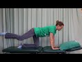 #50 Quadruped core exercise