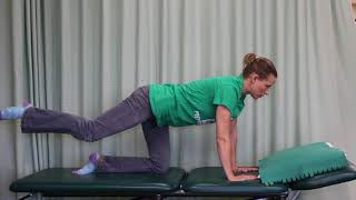 #50 Quadruped core exercise