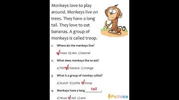 Read the Story and Answer the following questions