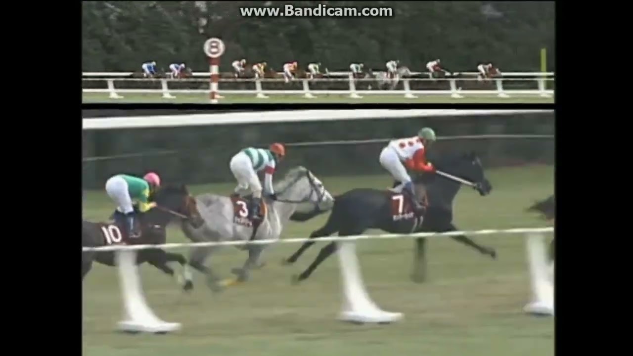 2000 京都記念 テイエムオペラオー - YouTube