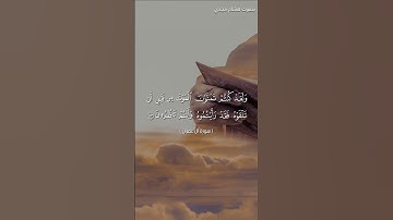 #بلغوا_عني_ولو_آيه بصوت هشام مجدي الآيات ١٤٢ و ١٤٣ من سورة آل عمران