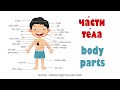 Intermediate Russian: Части тела. Body Parts. Vocabulary in Context
